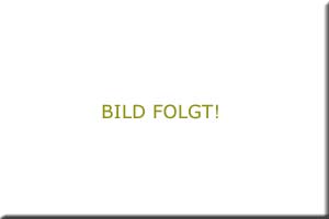 sva_bildfolgt
